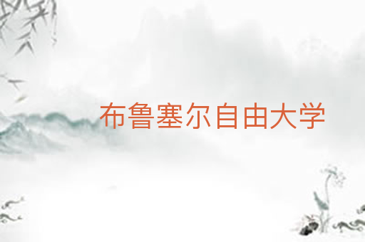 布鲁塞尔自由大学