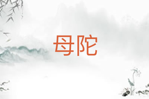 母陀
