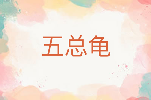 五总龟