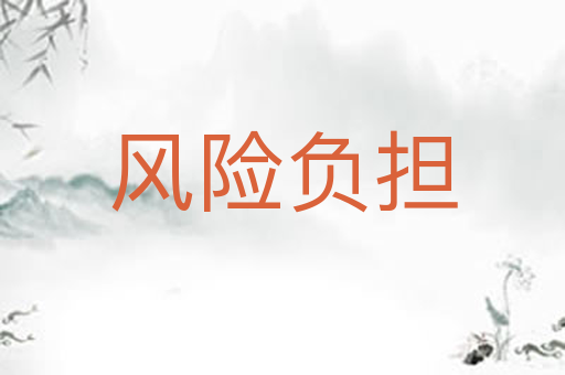 风险负担