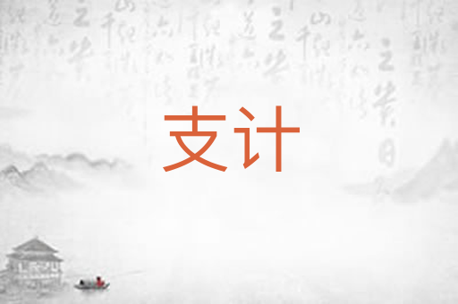 支计