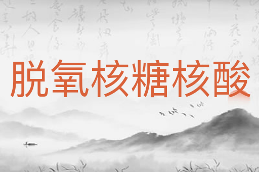 脱氧核糖核酸