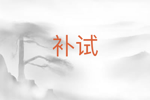 补试