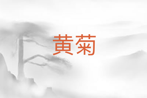 黄菊