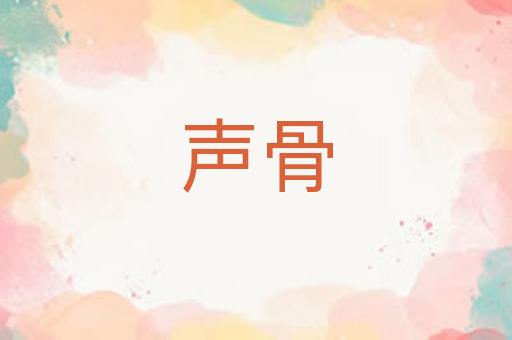 声骨