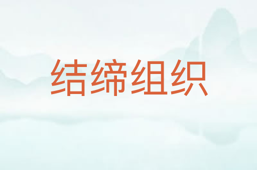 结缔组织
