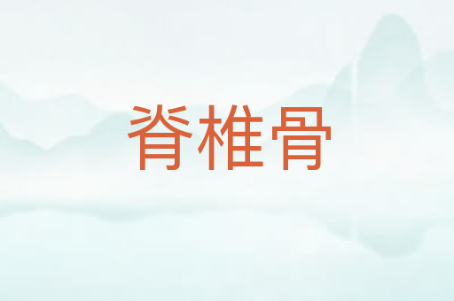 脊椎骨