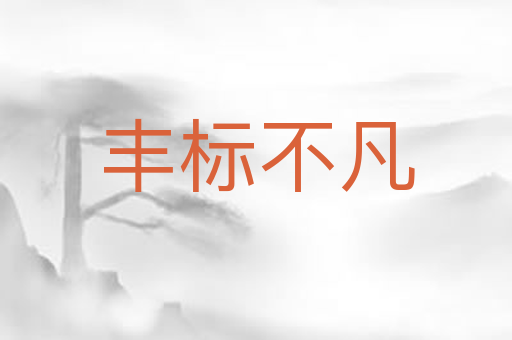 丰标不凡