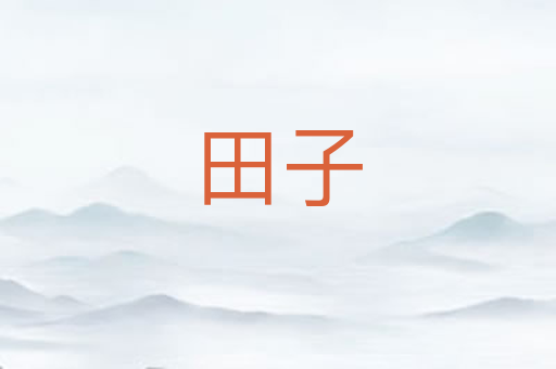 田子