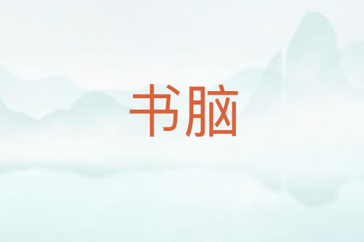 书脑