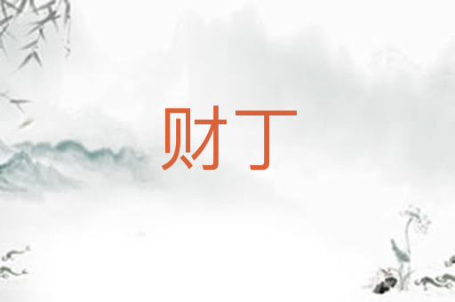 财丁