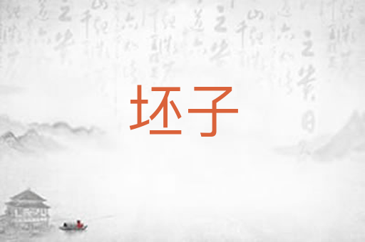 坯子