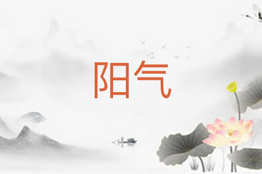 阳气