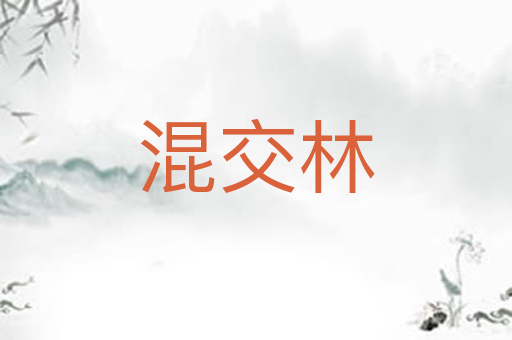 混交林