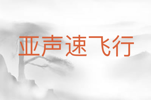 亚声速飞行