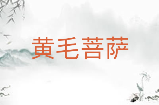 黄毛菩萨