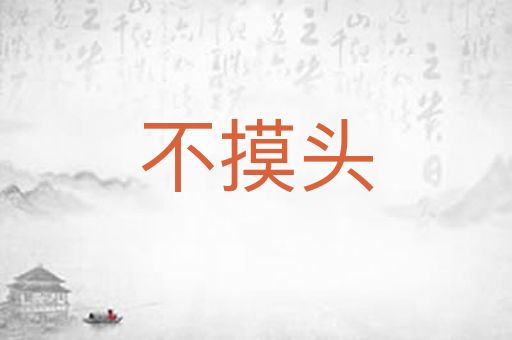 不摸头