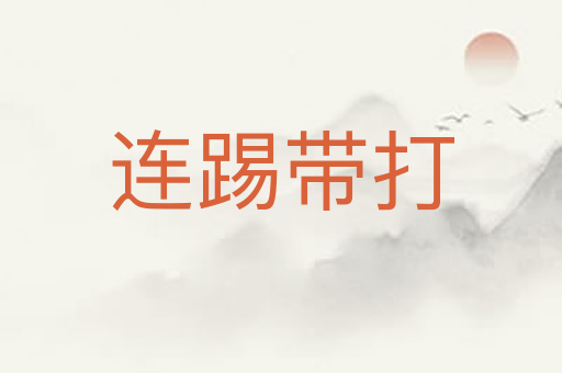 连踢带打
