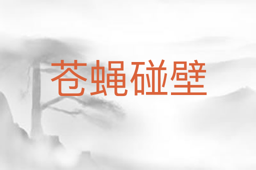 苍蝇碰壁