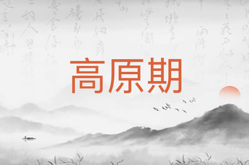 高原期