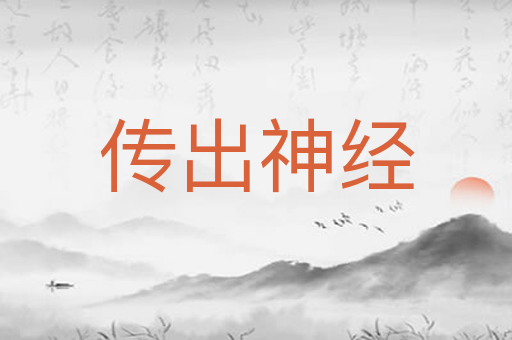 传出神经