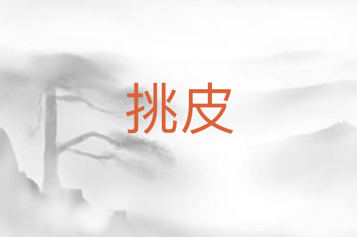 挑皮