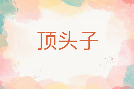 顶头子