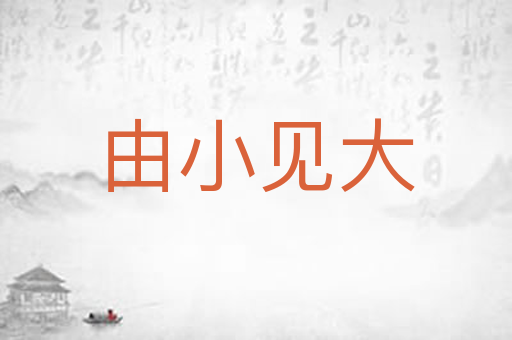 由小见大