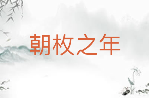 朝枚之年