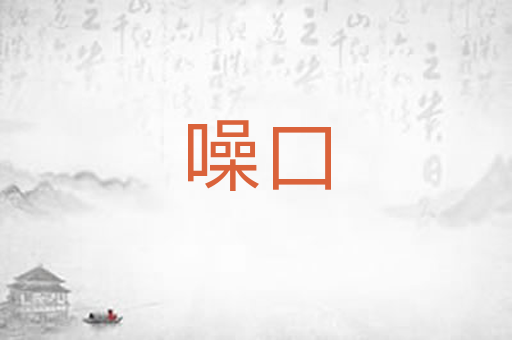 噪口