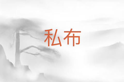 私布