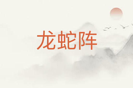 龙蛇阵