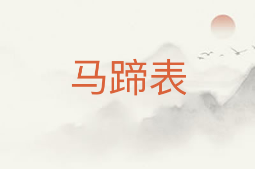 马蹄表