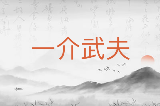 一介武夫