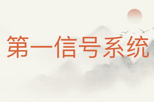 第一信号系统