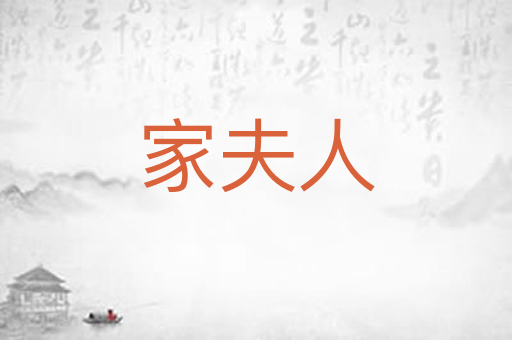 家夫人
