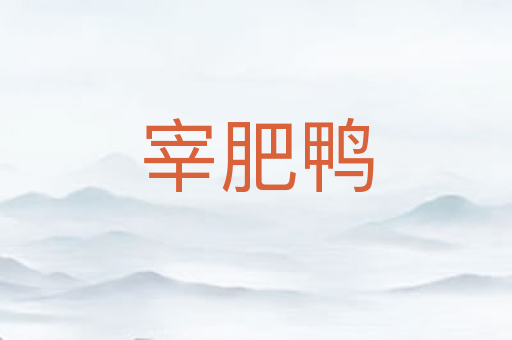 宰肥鸭