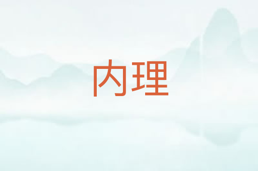 内理
