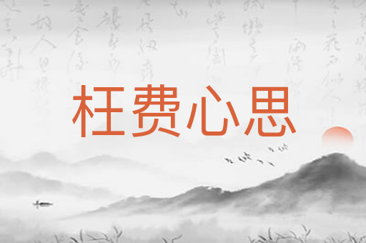 枉费心思