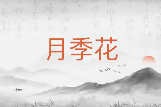 月季花