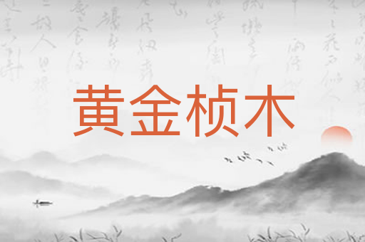 黄金桢木