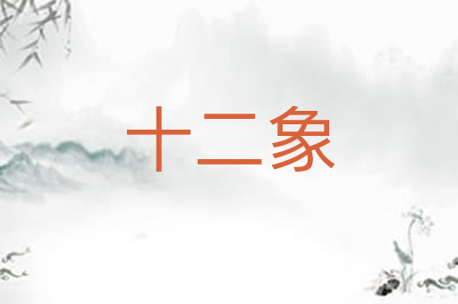 十二象