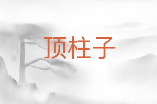 顶柱子