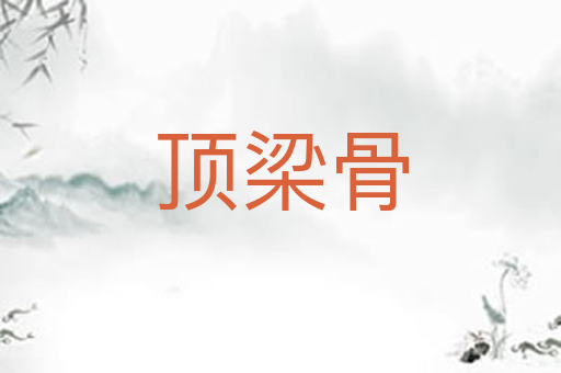 顶梁骨