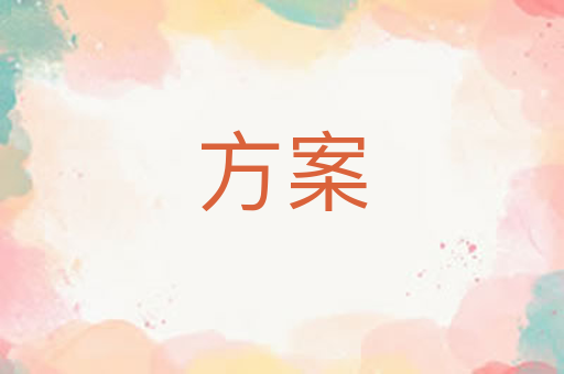 方案
