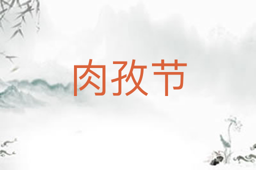 肉孜节