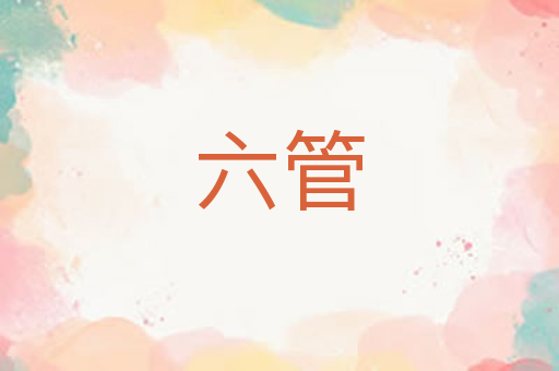 六管