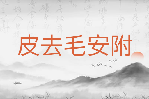 皮去毛安附