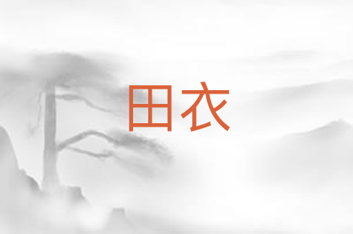 田衣