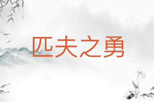 匹夫之勇